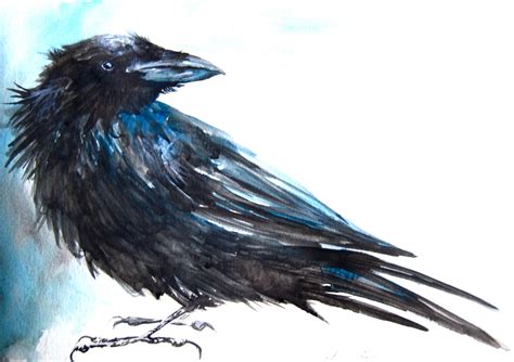 Watercolor Painting Crow Painting Original