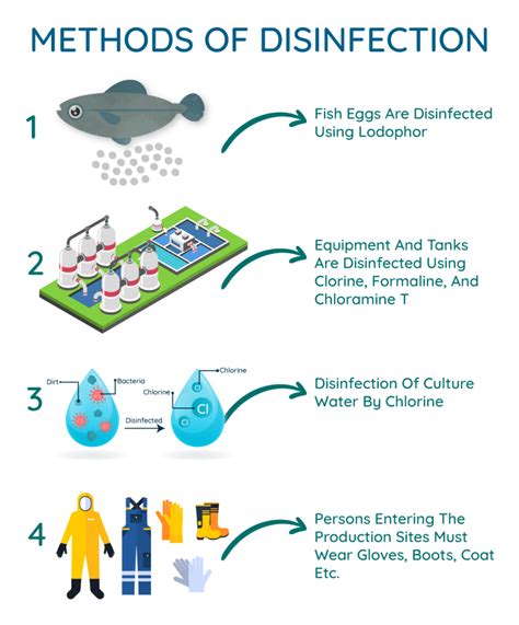 Disinfection Methods in Aquaculture – Budmore