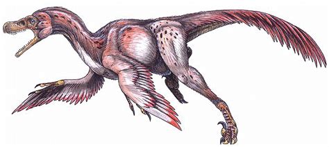 Bambiraptor | Dinosaur Wiki | Fandom