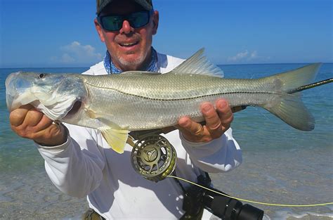 Southern Kayak Kronicles: Beach snook seasons looks like it will be a good one