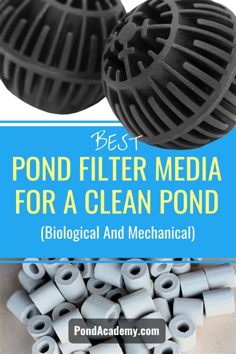 Best Pond Filter Media For A Clean Pond (Biological And Mechanical) | Pond filter media, Pond ...