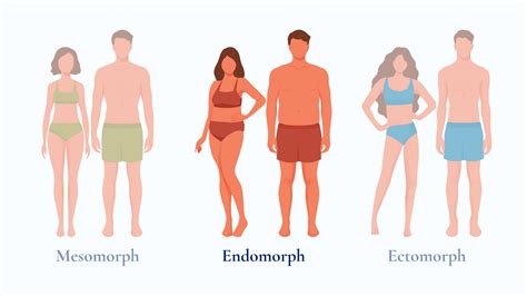 What Is the Endomorph Body Type? The Complete Guide