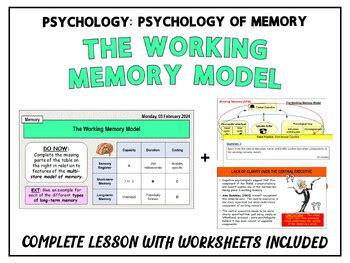 MEMORY: The Working Memory Model (Baddeley & Hitch, 1974) by JB Resources