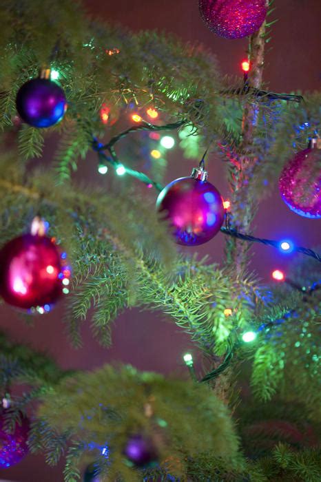 Free Stock Photo 11577 Colorful Christmas tree decorations | freeimageslive