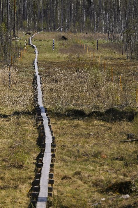 The Tartu Peace Treaty and Estonia’s Eastern Border - ICDS