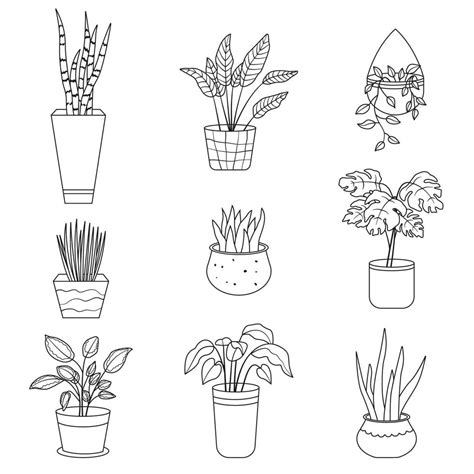 Set of house plants. Collection of potted plants outline in linear ...