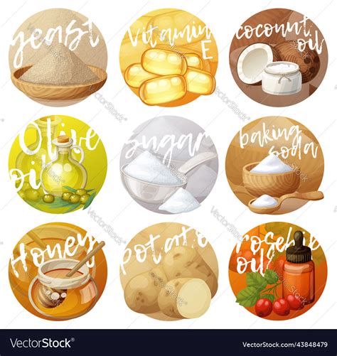 Facial mask ingredients for home face skin care Vector Image