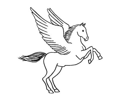 Easy Pegasus Drawing