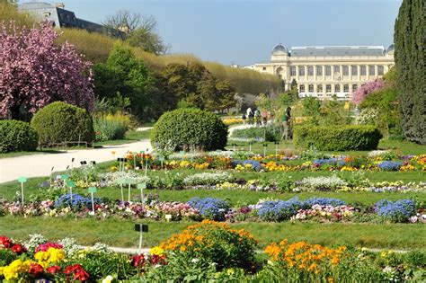 Jardin des Plantes, Paris - Culture Review - Condé Nast Traveler