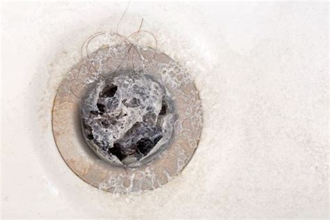 What’s Clogging Your Drains and How Can You Unclog Them? | MYMOVE