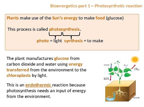 Overview Bioenergetics Photosynthesis Photosynthetic reaction Rate of photosynthesis