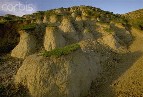 Loess Hills Erosion The clearing of land for agricultural use has accelerated the rate of gully ...