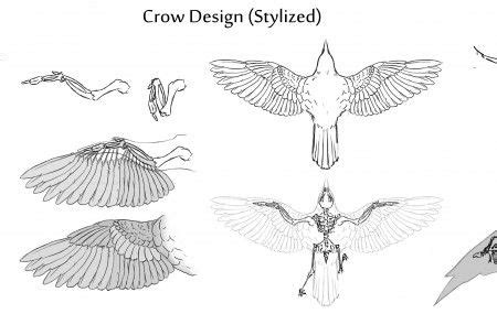 crow anatomy - Pesquisa Google | Animal sketches, Bird drawings, Animal ...