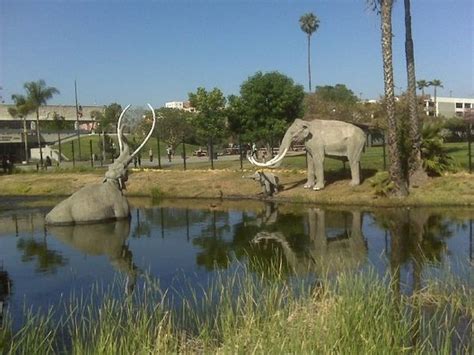 Park La Brea (Los Angeles) - 2021 All You Need to Know BEFORE You Go (with Photos) - Tripadvisor