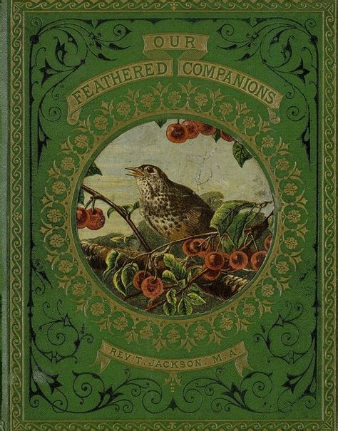 187 best Book Covers images on Pinterest | Antique books, Cover books and Vintage book covers