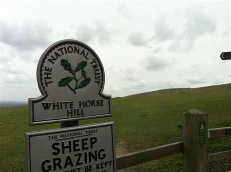 White Horse Hill | White horse, Horses, South east england