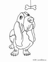 You Will Love This Basset Dog coloring Page Get Them For Free In  sketch template