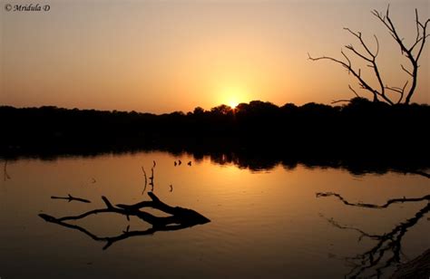 Sunset at the Hauz Khas Lake, Delhi, India - Travel Tales from India ...