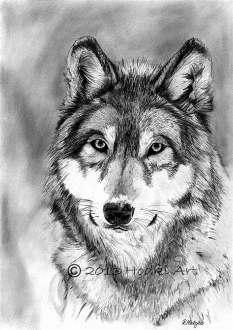 40 Realistic Animal Pencil Drawings