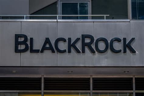 BlackRock Stock Rally Is Unsustainable