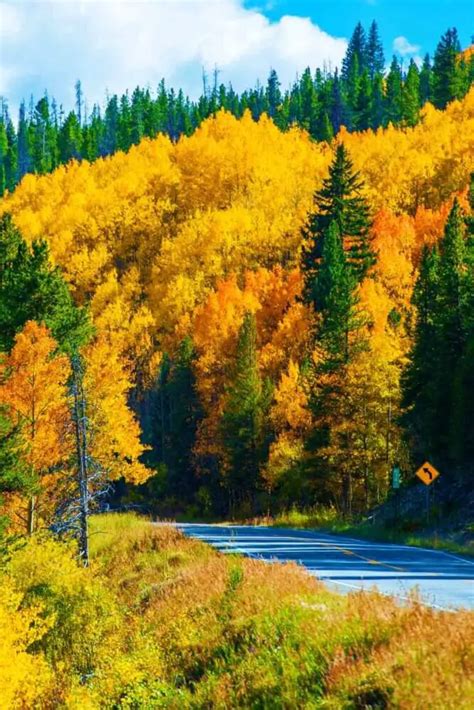 The Best Places To See Fall Colors In USA National And State Parks