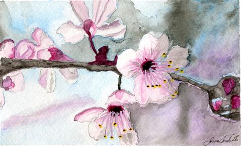 Cherry Blossom Watercolor by jimscard on DeviantArt