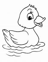 Rubber Ducky Coloring Page  Home sketch template