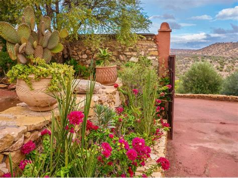 How To Start A Garden In The Desert: Tips For Beginner Desert Gardeners