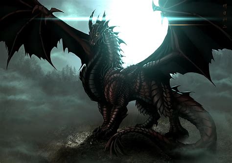 Discover 69+ black dragon wallpaper latest - in.cdgdbentre