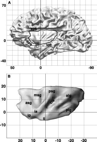 Definition of the insula ROI. A: Surface rendering of the left brain in... | Download Scientific ...