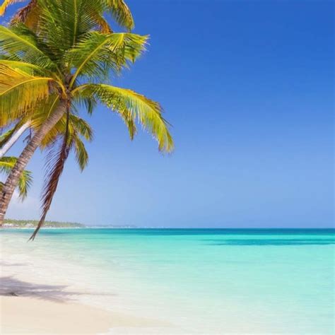 Best Beaches In Punta Cana Resorts - Get More Anythink's