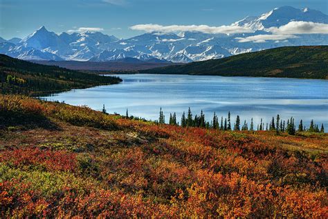 Alaska - Wonder lake in Denali national park Photograph by Olivier Parent - Fine Art America