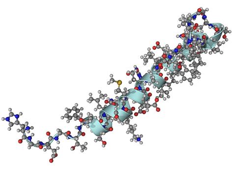 Exendin-4 Diabetes Drug Molecule Photograph by Laguna Design - Pixels