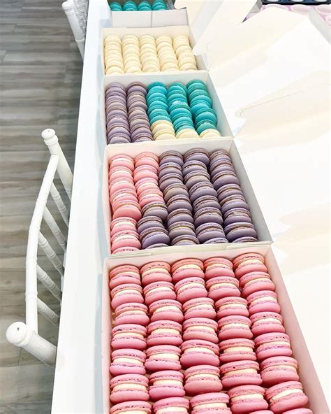 Pastel Macarons – Vanillicious