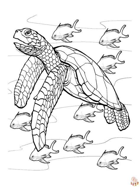 Sea Turtle Coloring Pages For Adults