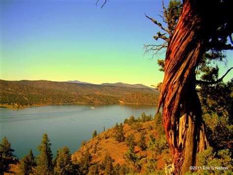 Twisted Barkely at Prineville Reservoir, Oregon. By Eric Neitzel Pacific Crest Trail, Pacific ...