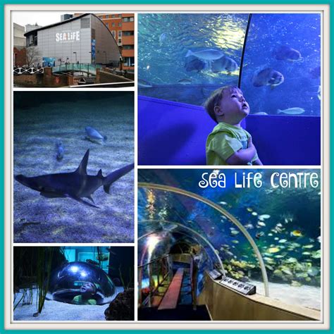 My Top 5 places to visit in Birmingham with Kids - ChelseaMamma