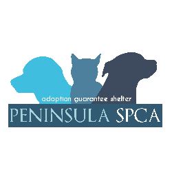 Peninsula SPCA | Newport News, VA | Chewy