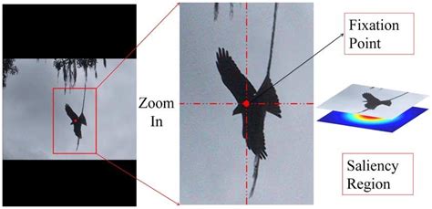 Saliency map visualization process. The center point of the image shown... | Download Scientific ...