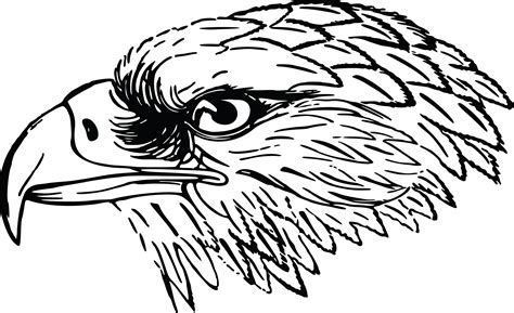 Eagles Black And White Clipart