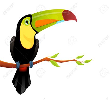 Download Keel-billed Toucan clipart for free - Designlooter 2020 👨‍🎨