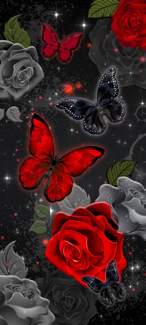 Red Rose and Butterfly, Beautiful, petal, nature, Dark, Premium HD ...