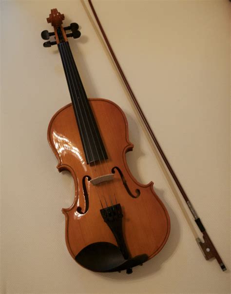 Free Images : musical instrument, percussion, cello, viola, classical music, display case ...