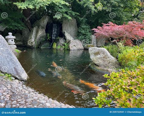 Beautiful Different Fishes Swimming in Zoological Park Stock Image ...