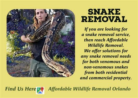 Affordable Wildlife Removal Florida | Animal Trapping & Removal