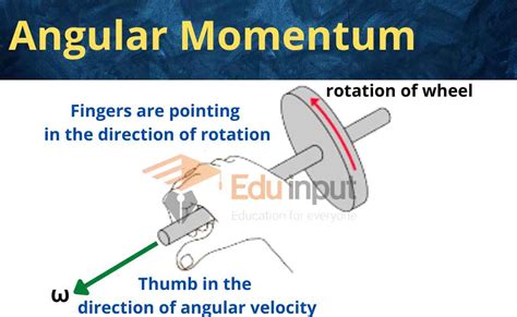 Angular Momentum | Law of Conservation of Angular Momentum