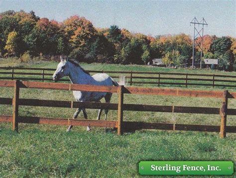 Wood Horse Fence | Wooden Equine Fencing | Minneapolis, MN Company