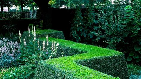 How to Shape Boxwoods — Like a Pro