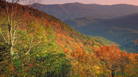 How to see North Georgia's best fall leaves - Axios Atlanta