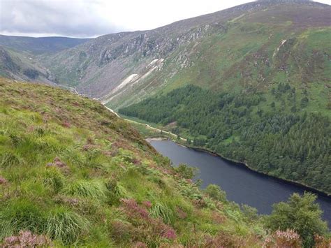 Top 20 Hikes and Walks in the Wicklow Mountains National Park | Komoot